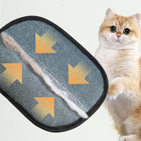Gant Magique Microfibre Anti-Poils — Chat & Chien